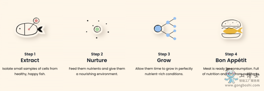 cell-cultured seafood